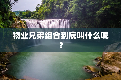 物业兄弟组合到底叫什么呢？
