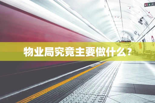 物业局究竟主要做什么？