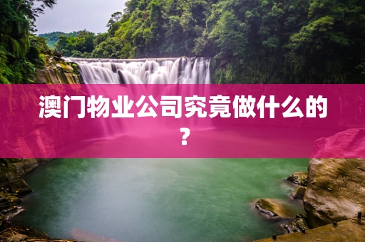 澳门物业公司究竟做什么的？