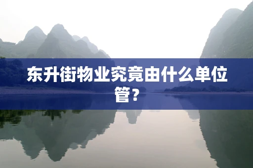 东升街物业究竟由什么单位管？