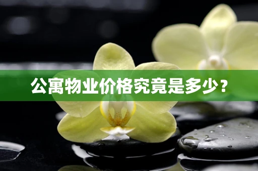 公寓物业价格究竟是多少？
