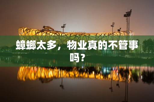 蟑螂太多，物业真的不管事吗？