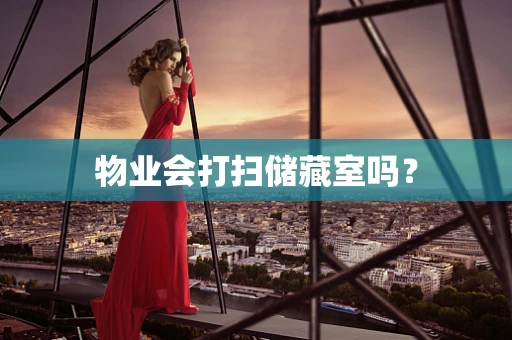 物业会打扫储藏室吗？