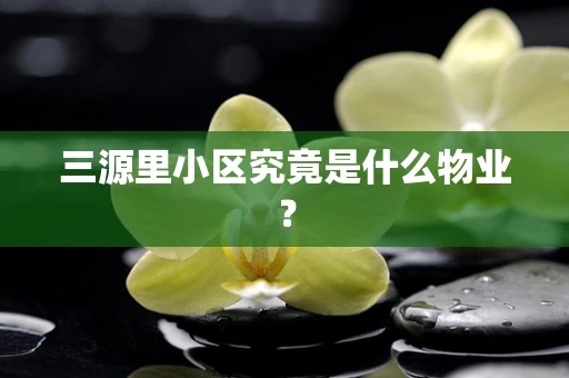三源里小区究竟是什么物业？