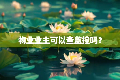 物业业主可以查监控吗？