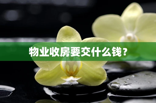 物业收房要交什么钱？