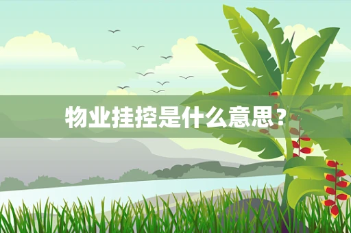 物业挂控是什么意思？