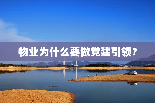 物业为什么要做党建引领？