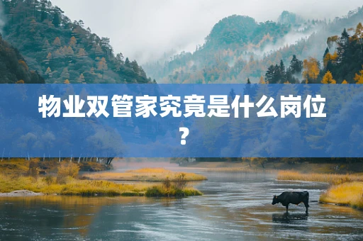 物业双管家究竟是什么岗位？