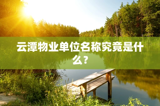 云潭物业单位名称究竟是什么？