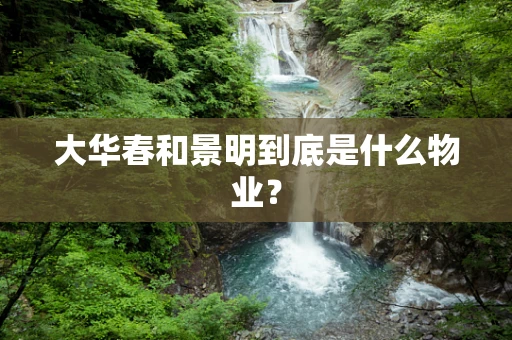 大华春和景明到底是什么物业？