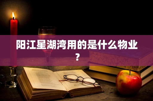 阳江星湖湾用的是什么物业？