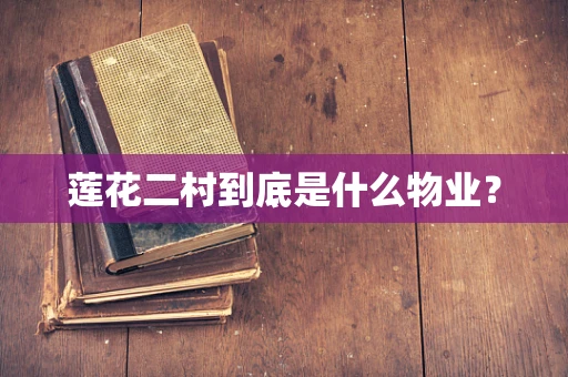 莲花二村到底是什么物业？