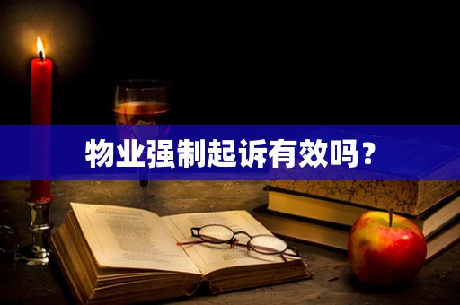 物业强制起诉有效吗？