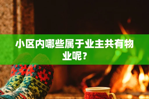 小区内哪些属于业主共有物业呢？