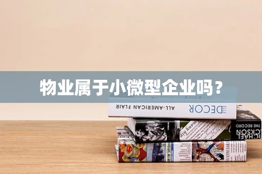 物业属于小微型企业吗？