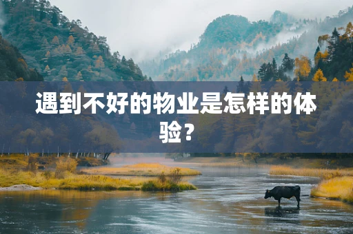 遇到不好的物业是怎样的体验？