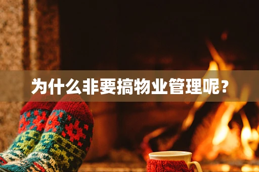 为什么非要搞物业管理呢？