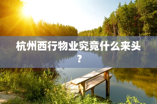 杭州西行物业究竟什么来头？