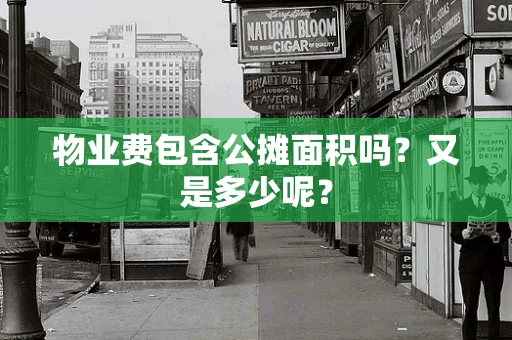 物业费包含公摊面积吗？又是多少呢？