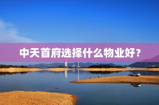 中天首府选择什么物业好？