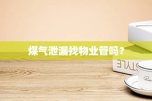 煤气泄漏找物业管吗？