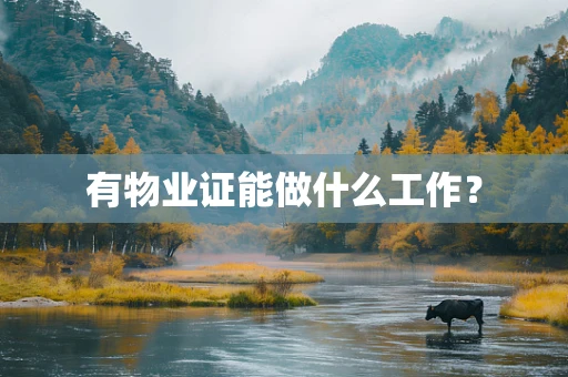 有物业证能做什么工作？