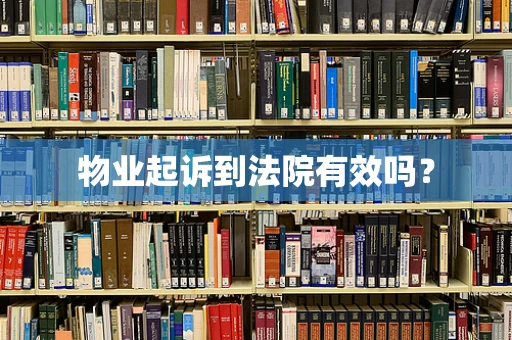 物业起诉到法院有效吗？