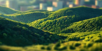 岭秀滨城究竟属于什么物业？