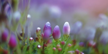 昆明充电桩建设需要物业参与吗？