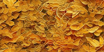 金桂锦绣龙都属于物业范畴吗？