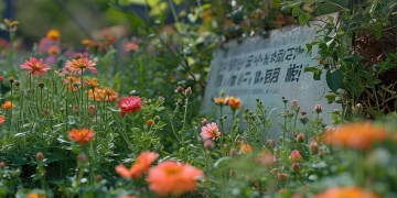 物业维修基金是否公开？